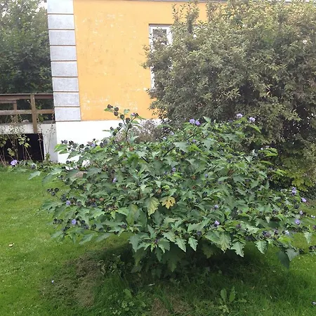 Hotel Murermester Madsens Otterup