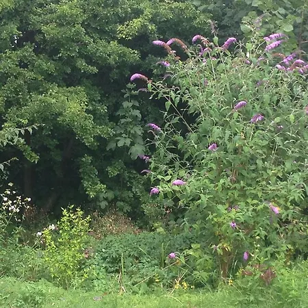 Murermester Madsens Otterup